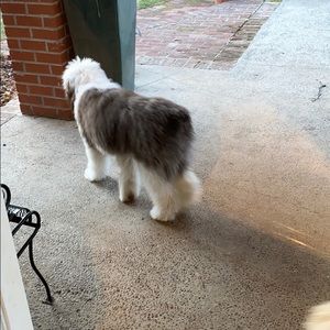 Meet your Posher, Rachelle